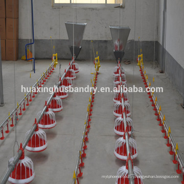 automatic chicken feeding system